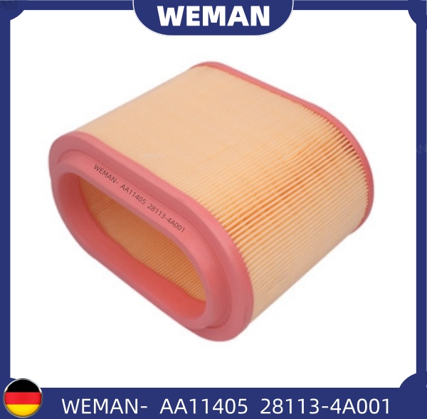 WEMAN Lọc gió AA11405