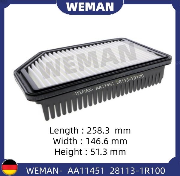 WEMAN Lọc gió AA11451