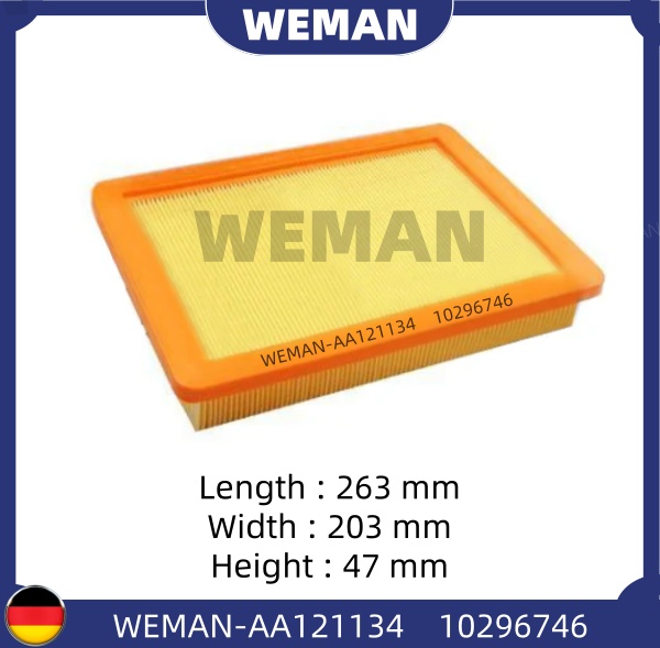 WEMAN Lọc gió AA121134