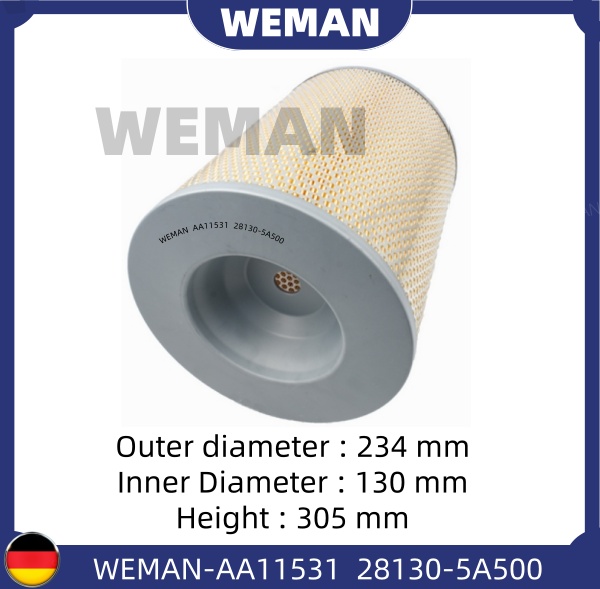 WEMAN Lọc gió AA11531