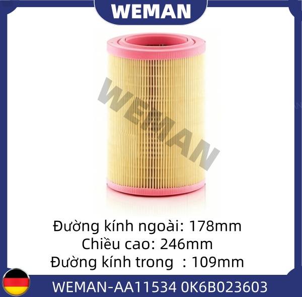 WEMAN Lọc gió AA11534