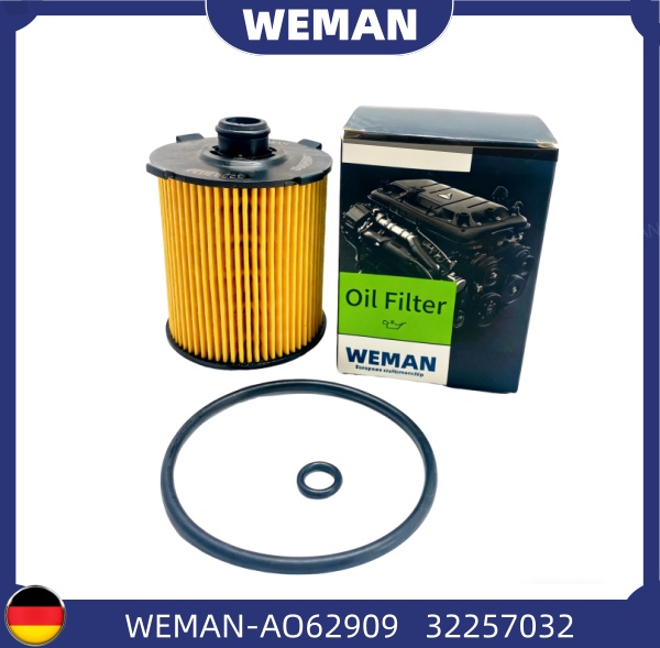 WEMAN Lọc dầu AO62909