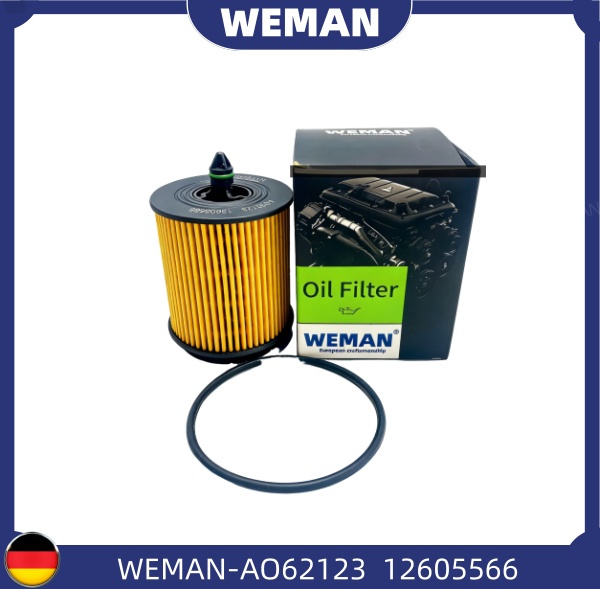 WEMAN Lọc dầu AO62123