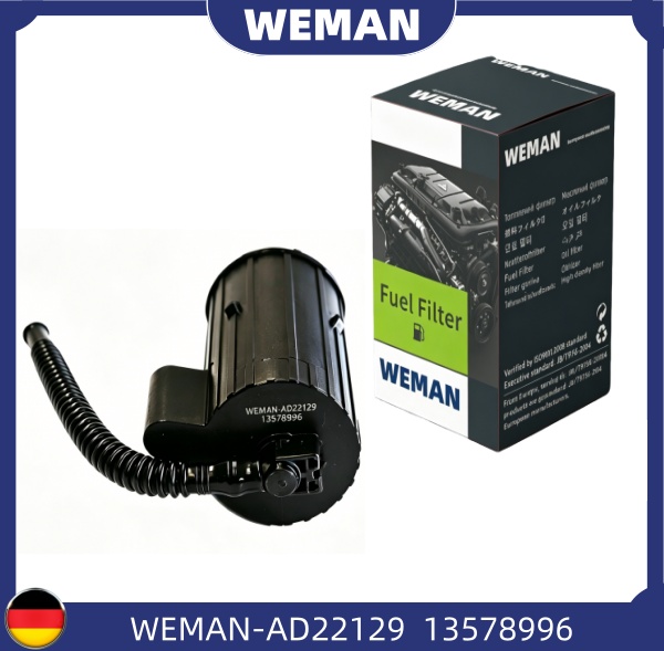 WEMAN Lọc nhiên liệu AD22129 Spark/MATIZ