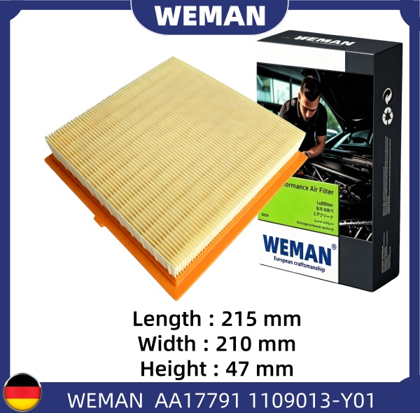 WEMAN Lọc gió AA17791